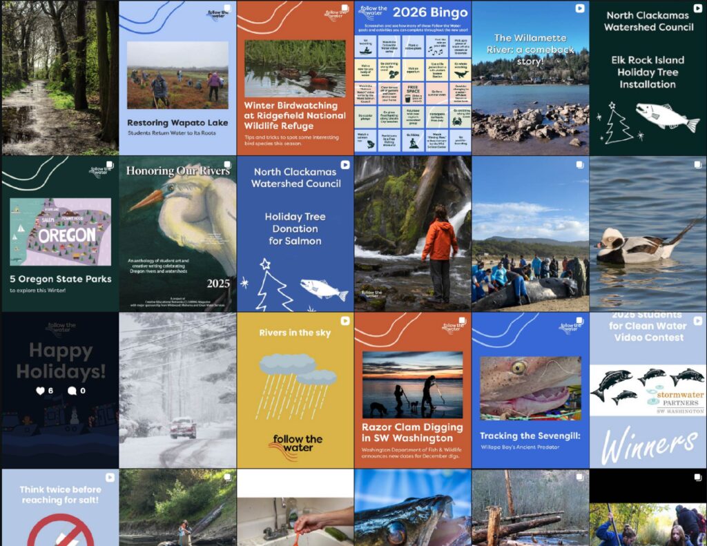 Our body of content has grown varied and robust.